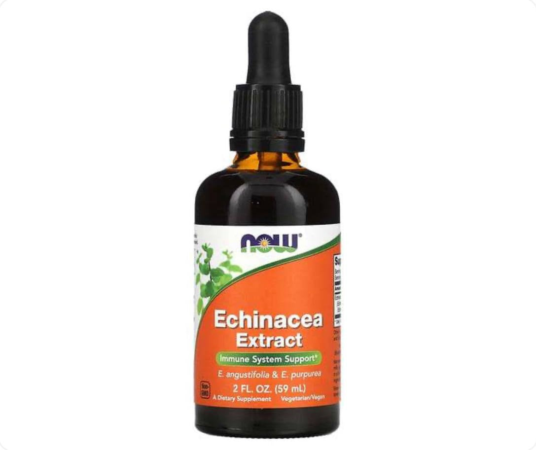 عبوة مستخلص القنفذية Echinacea Extract من NOW Foods بحجم 59 مل